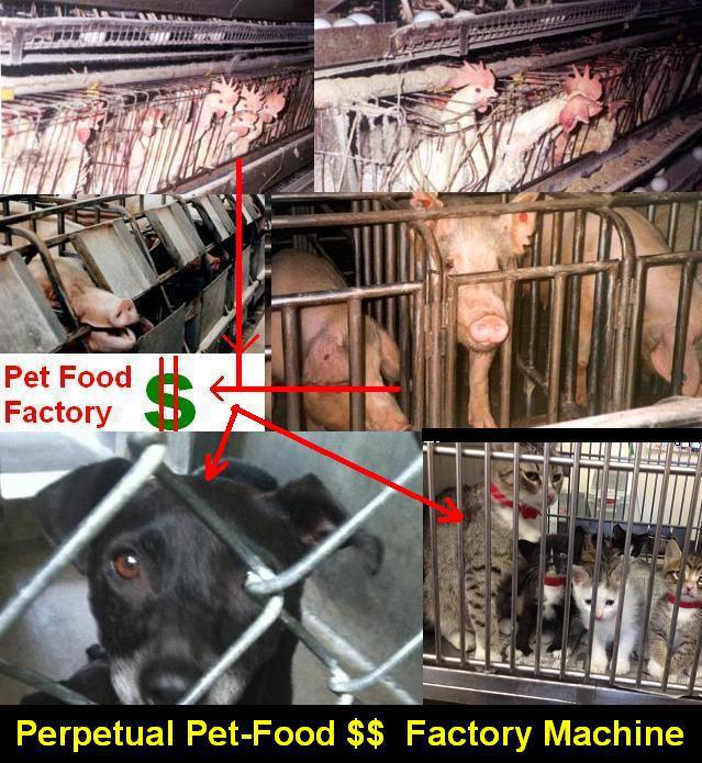Butcher 1 animal to feed another